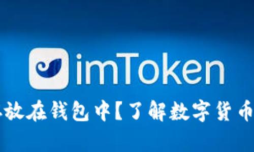 狗狗币能否安全存放在钱包中？了解数字货币钱包的选择与使用