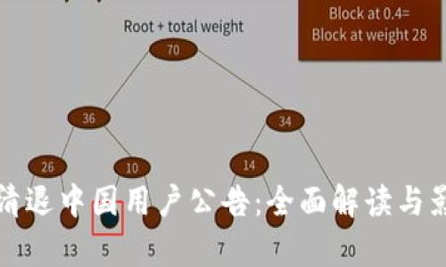 TP钱包清退中国用户公告：全面解读与影响分析