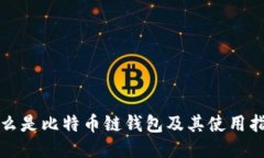 什么是比特币链钱包及其使用指南