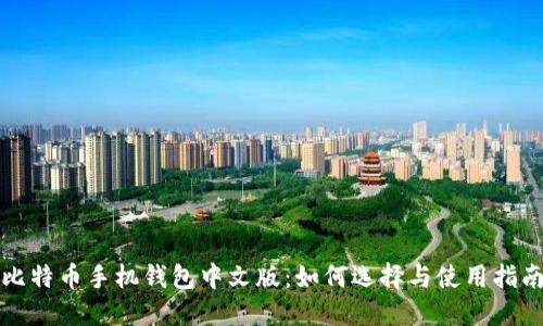 比特币手机钱包中文版：如何选择与使用指南