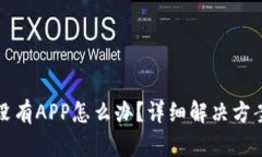 TP钱包没有APP怎么办？详细解决方案与指南