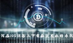 如何在iOS设备上下载和使用比特币钱包