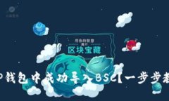 如何在电脑TP钱包中成功导入BSC？一步步教你轻松