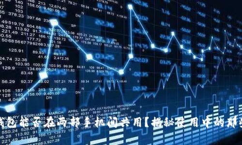 TP钱包能否在两部手机间共用？揭秘使用中的那些事