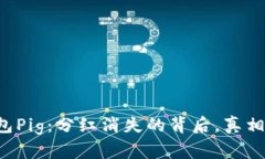 揭秘TP钱包Pig：分红消失的背后，真相令人震惊！