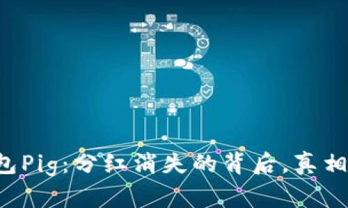 揭秘TP钱包Pig：分红消失的背后，真相令人震惊！