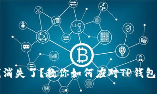 心慌钱包里的钱消失了？教你如何应对TP钱包丢失资金的危机