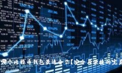 揭秘：哪个比特币钱包最适合你？安全与便捷的