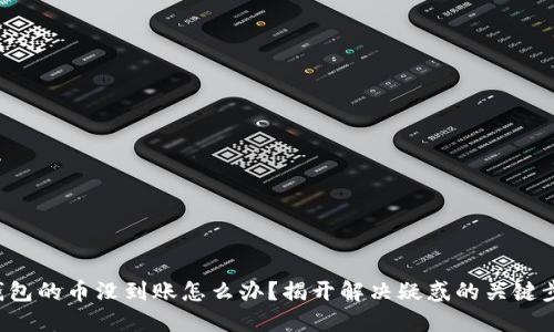TP钱包的币没到账怎么办？揭开解决疑惑的关键步骤！
