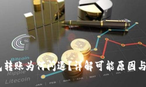 USDT钱包转账为何闪退？详解可能原因与解决方法