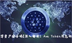 你的数字资产安全吗？深入解析I Am Token钱包的安