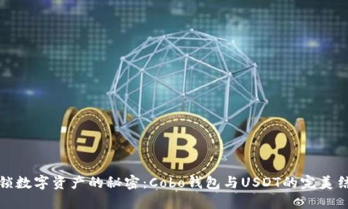 解锁数字资产的秘密：Cobo钱包与USDT的完美结合