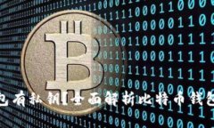 哪个比特币钱包有私钥？全面解析比特币钱包的