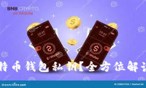 怎么导入比特币钱包私钥？全方位解读与操作指南