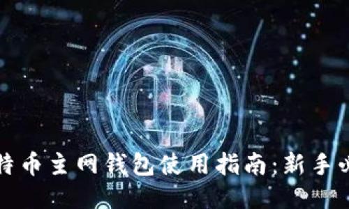 比特币主网钱包使用指南：新手必看