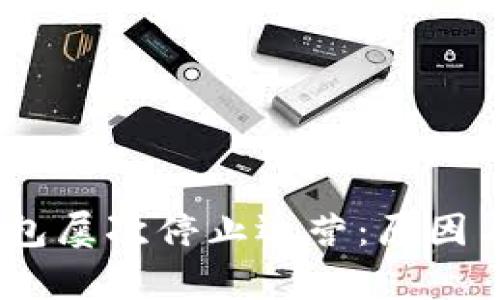 platztp钱包屡次停止运营：原因与应对措施